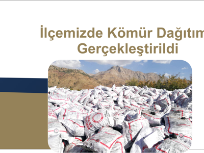 Kömür Dağıtımı 
