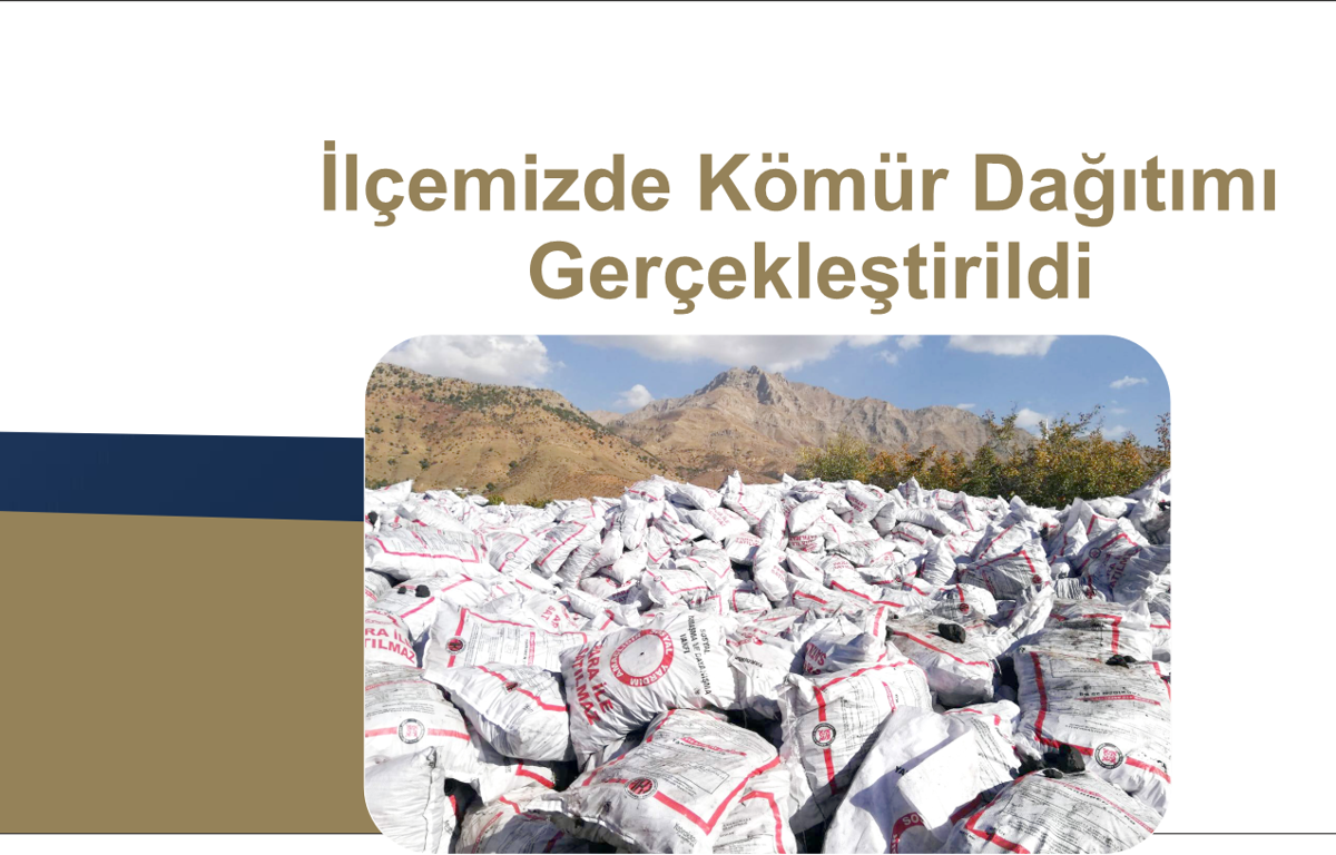 Kömür Dağıtımı 