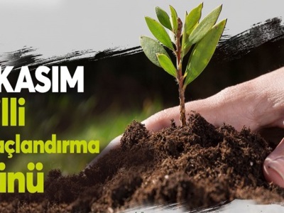 Köprübaşı SYD Vakfımız 11 Kasım Milli Ağaçlandırma Gününe Katılarak Fidan Dikimi Yaptı
