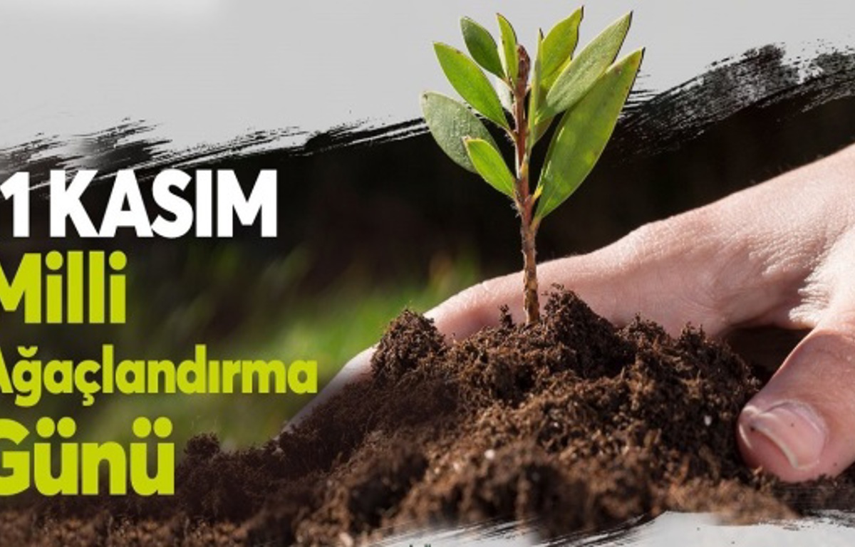 Köprübaşı SYD Vakfımız 11 Kasım Milli Ağaçlandırma Gününe Katılarak Fidan Dikimi Yaptı